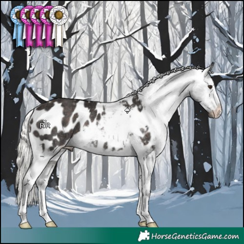 Horse Color:Liver Chestnut Mushroom Appaloosa Rabicano 
