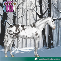 Horse Color:Liver Chestnut Mushroom Appaloosa Rabicano 