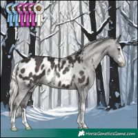 Horse Color:Liver Chestnut Mushroom Blanket Rabicano 