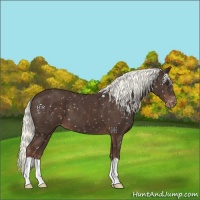 Horse Color:Liver Chestnut Mushroom Snowflake Varnish