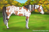Horse Color:Bay Sabino Splash  and Bay Sabino Splash 