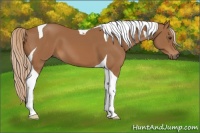 Horse Color:Chestnut Tobiano 