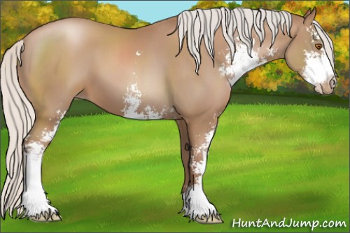 Horse Color:Silver Black Pearl Sabino 
