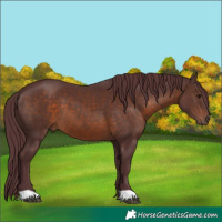 Horse Color:Chocolate Brown 