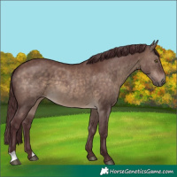 Horse Color:Chocolate Brown Dun