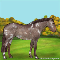 Horse Color:White Spotted Chocolate Brown Dun