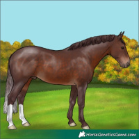 Horse Color:Chocolate Brown 