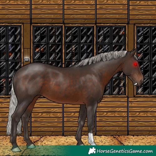 Horse Color:Silver Brown