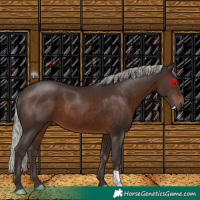 Horse Color:Silver Brown