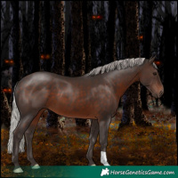 Horse Color:Silver Brown