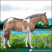 Horse Color:Silver Brown Dun Tobiano Rabicano