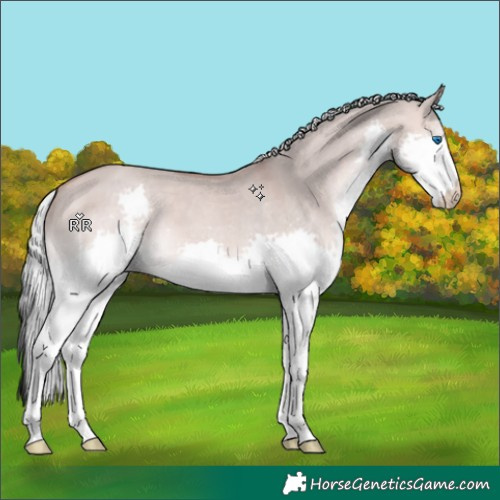 Horse Color:Platinum Silver Bay Dun Splash