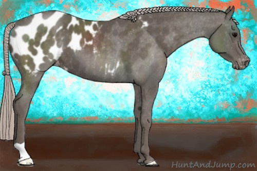 Horse Color:Silver Black Blanket