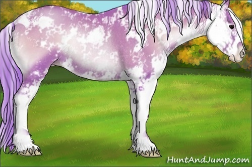 Horse Color:Watercolor Blue Onyx Pearl Sabino Rabicano
