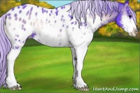 Horse Color:Watercolor Silver Brown Onyx Sabino Appaloosa 