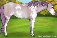 Horse Color:Watercolor Black Pearl Sabino Rabicano 