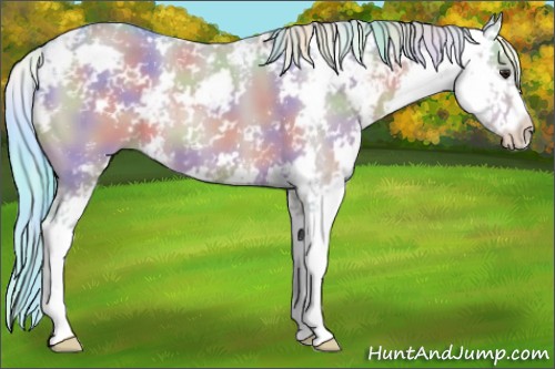 Horse Color:Nacre Watercolor Brown Dun Sabino 