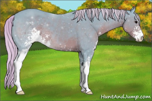 Horse Color:Watercolor Silver Black Sabino 
