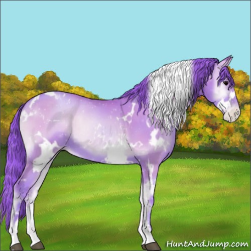 Horse Color:Watercolor White Spotted Blue Onyx Pearl Sabino 