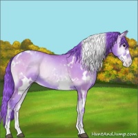 Horse Color:Watercolor White Spotted Blue Onyx Pearl Sabino 