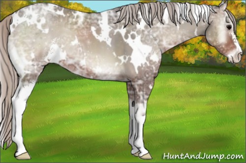 Horse Color:White Spotted Silver Blue Onyx Ice Sabino