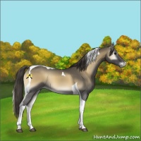 Horse Color:Smoky Blue Onyx Tobiano 