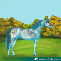 Horse Color:Thunderstruck Blue Onyx Ice 