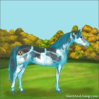 Horse Color:Thunderstruck Black Splash Tobiano 