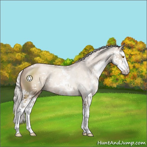 Horse Color:Silver Grullo Pearl Sabino Splash Rabicano 