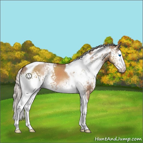 Horse Color:White Spotted Silver Brown Dun Splash Tobiano 