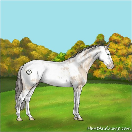 Horse Color:Sable Champagne Dun Sabino Rabicano 