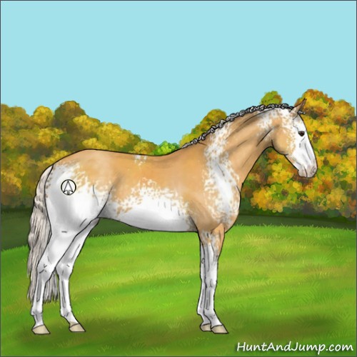 Horse Color:White Spotted Silver Buckskin Varnish 