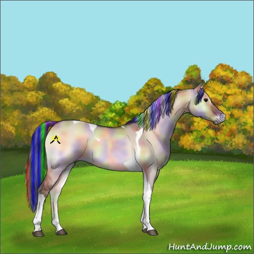 Horse Color:Painted Nacre Bay Onyx Tobiano 