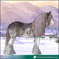 Horse Color:Watercolor Midnight Silver Sable Champagne Pearl Splash and White Spotted Liver Chestnut