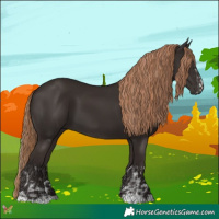 Horse Color:Liver Chestnut  and Liver Chestnut 