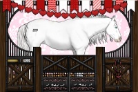 Horse Color:Cremello Sabino Splash