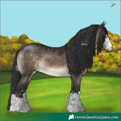 Horse Color:Brown Dun 