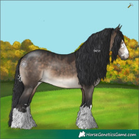 Horse Color:Brown Dun 