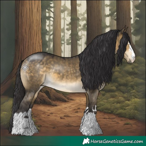 Horse Color:Buckskin Dun 
