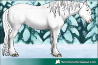 Horse Color:Silver Classic Champagne Pearl Sabino Splash Tobiano Appaloosa 