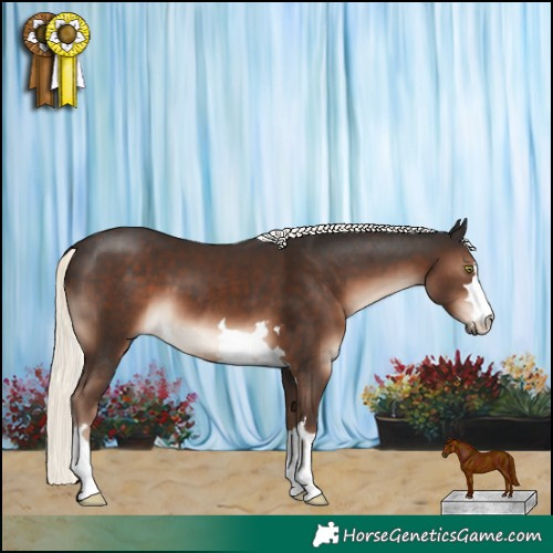 Horse Color:Liver Chestnut Mushroom 