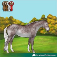 Horse Color:Chocolate Silver Black Chinchilla 