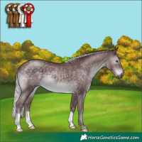 Horse Color:Chocolate Silver Black Chinchilla 