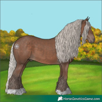 Horse Color:Silver Black 