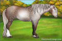 Horse Color:Gray Silver Black Pearl Tobiano 
