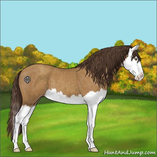 Horse Color:Classic Cream Champagne Splash 