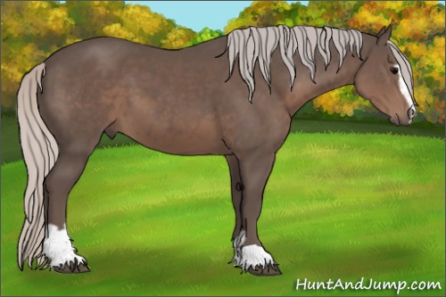 Horse Color:Silver Black Sabino 