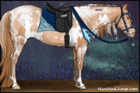 Horse Color:White Spotted Bay Pearl Rabicano 