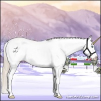 Horse Color:Perlino Onyx Sabino Splash 