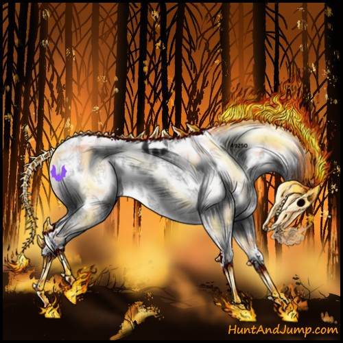 Horse Color:Black Sabino Splash Appaloosa 